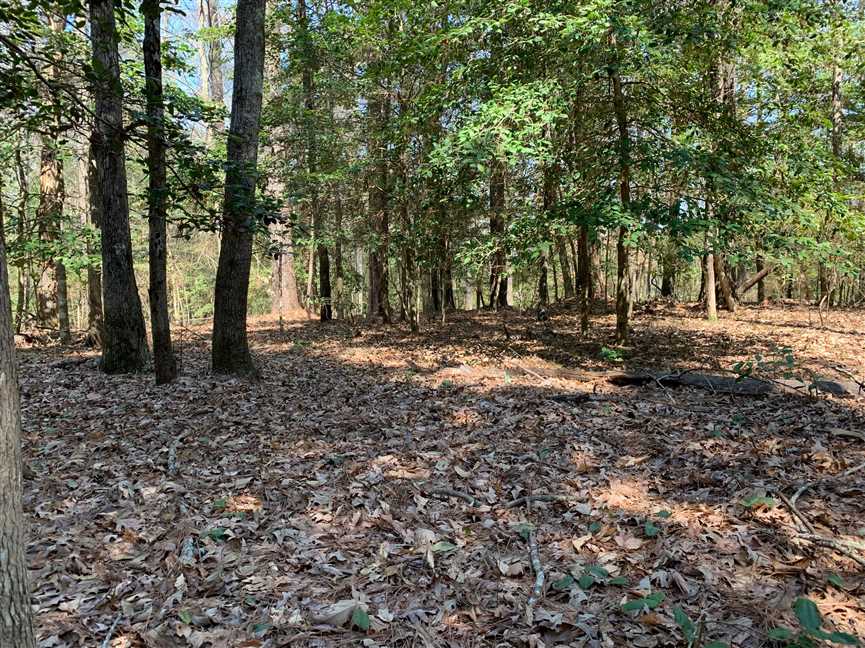 Land for sale at
