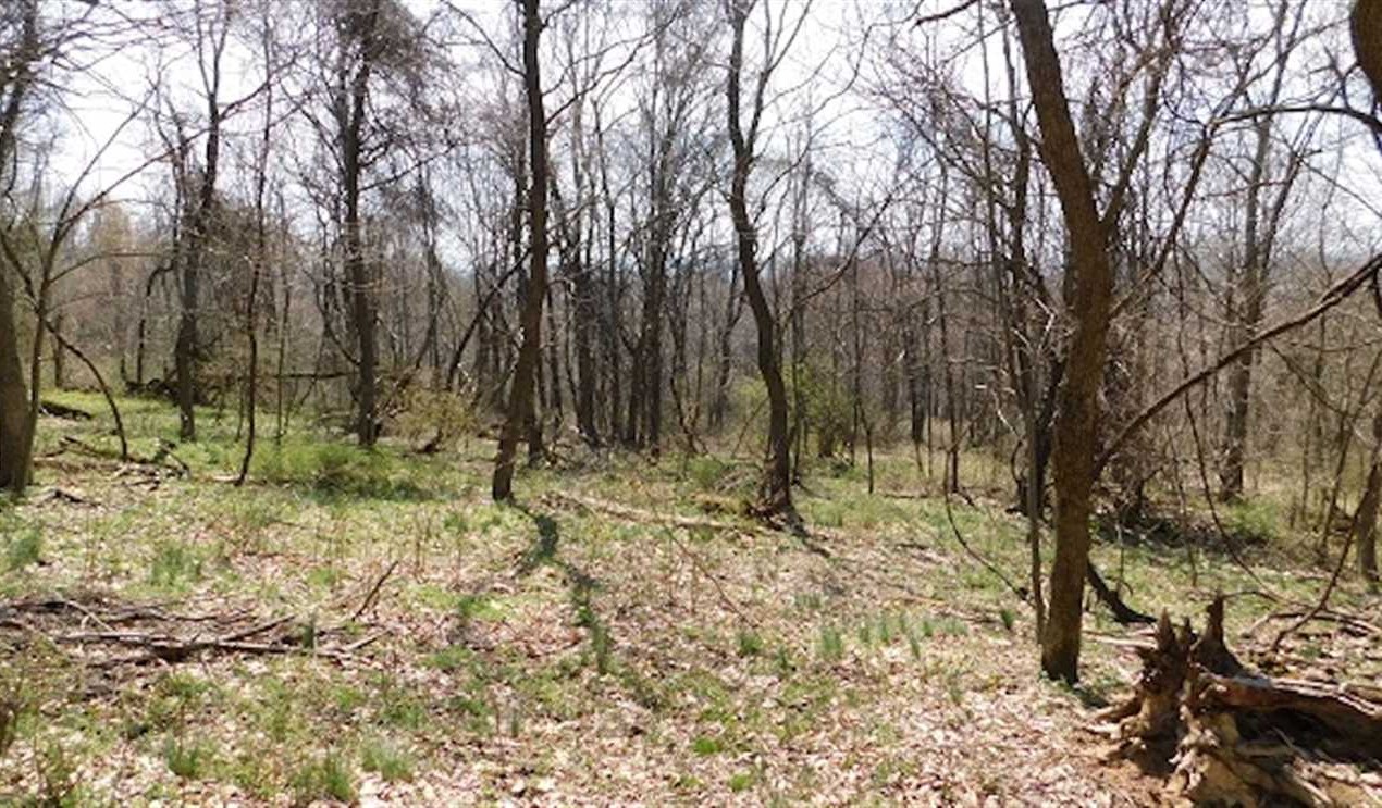 275 Acres of Recreational land for sale in Lebanon, russell County, Virginia