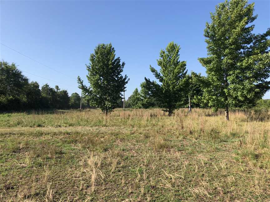 Ranchland real estate available to buy