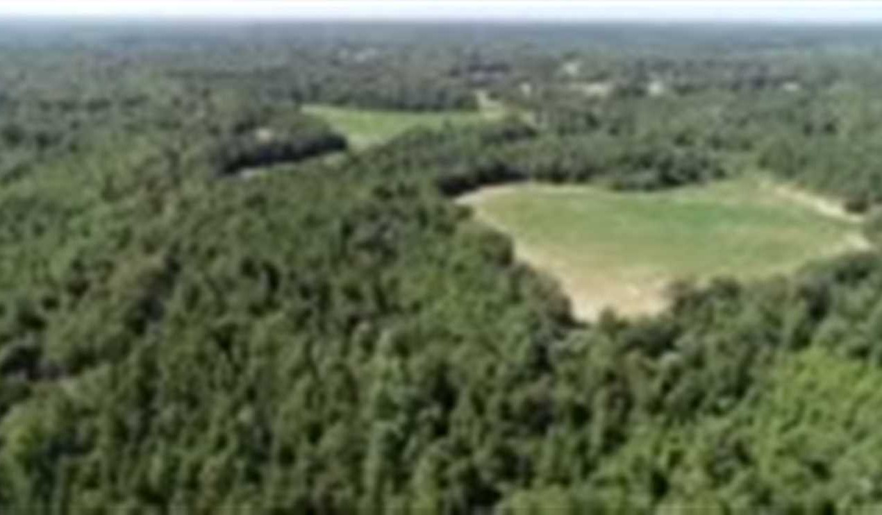 Recreational land real estate to buy in itawamba County MS