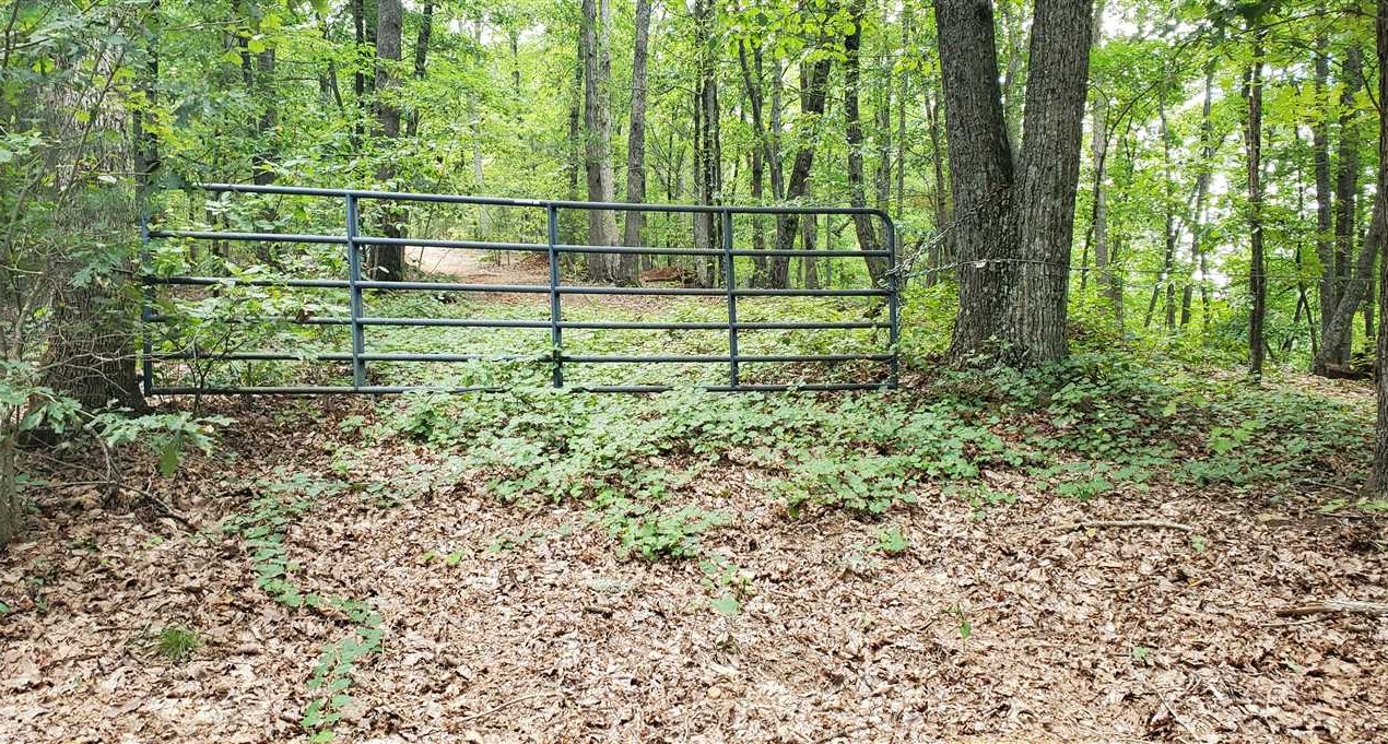 Bostic land available for purchase