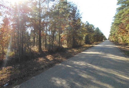 36.37 Acres of Land for Sale in lafayette County Arkansas