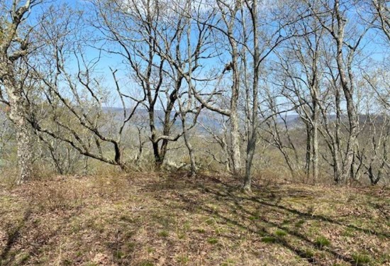 69.01 Acres of Land for Sale in marion County Tennessee