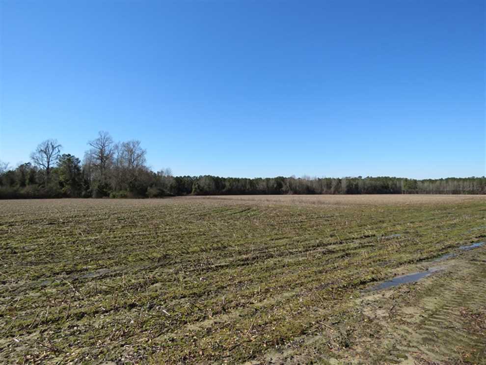 61 Acres of Land for sale in cumberland County, North Carolina