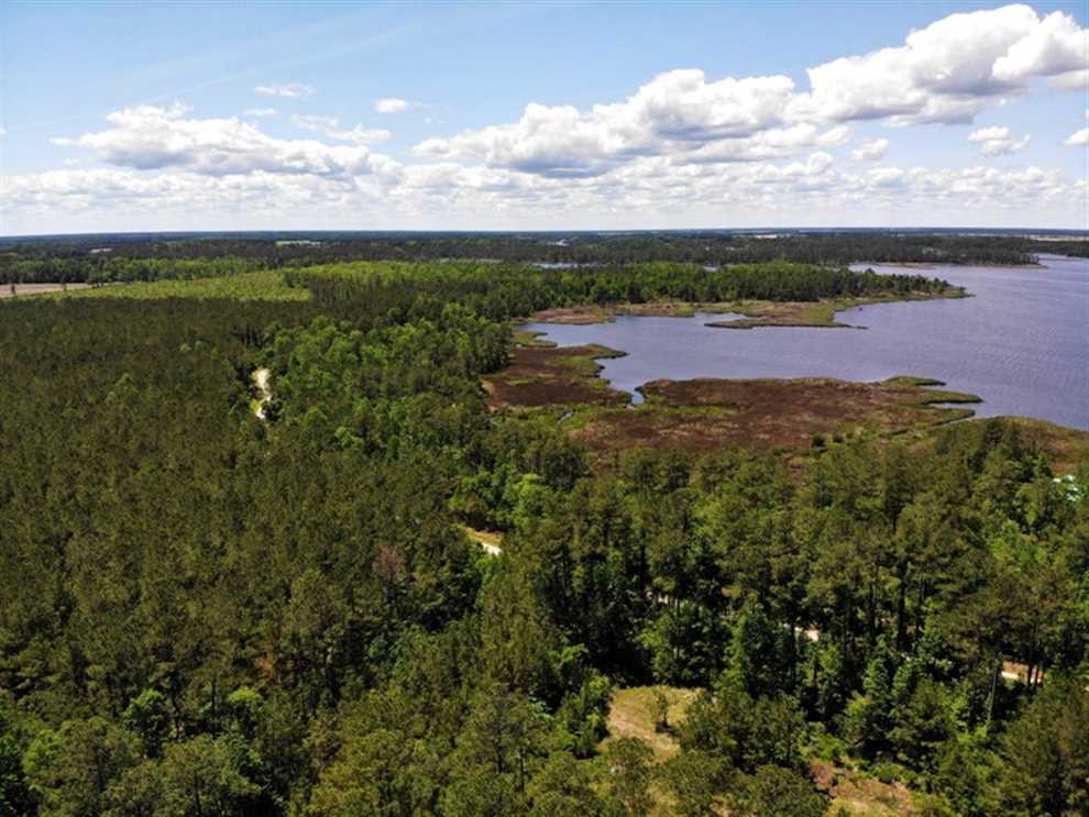 pamlico County, North Carolina property for sale