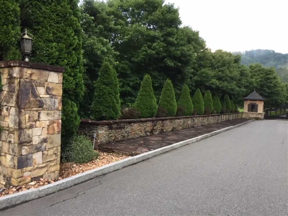 Land for sale at 0000 Timberline Drive #597