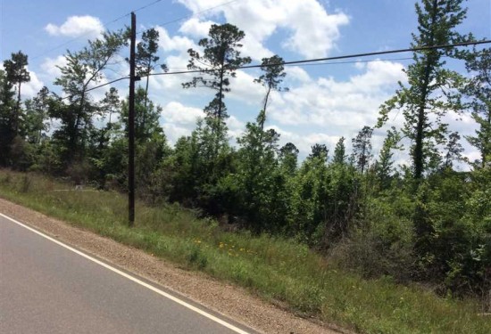 8.71 Acres of Land for Sale in winn County Louisiana