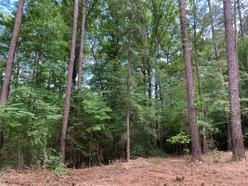 80 Acres of Land for sale in jackson County, Louisiana
