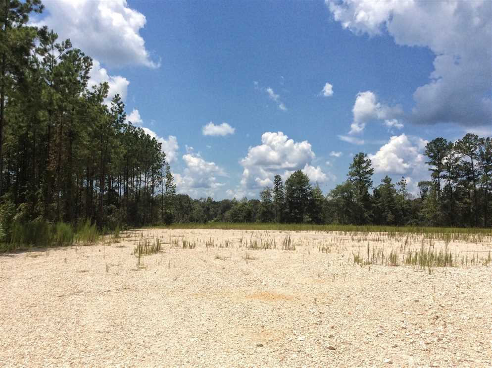 beauregard County, Louisiana property for sale