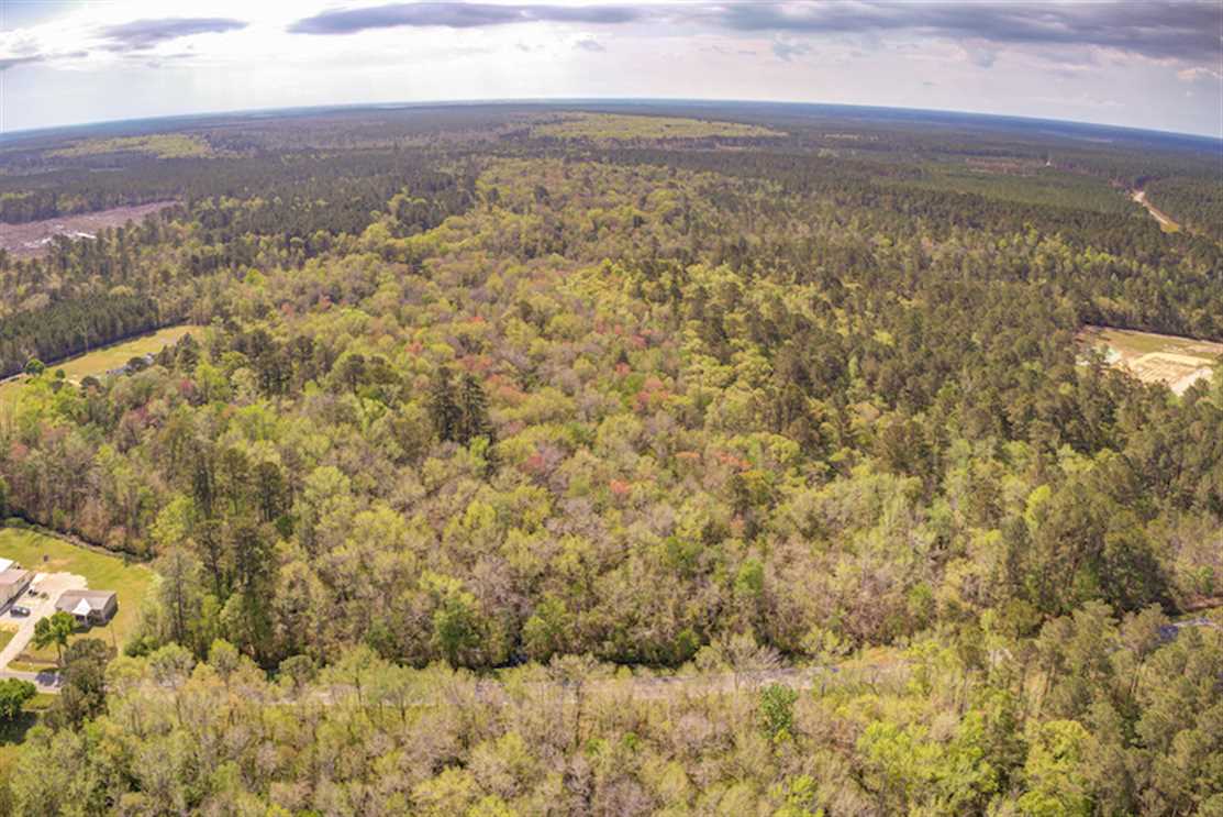 16.55 Acres of Recreational land for sale in Elizabethtown, bladen County, North Carolina