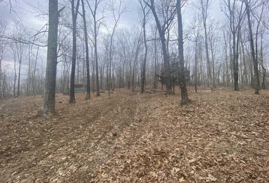 17 Acres of Land for Sale in wayne County Missouri
