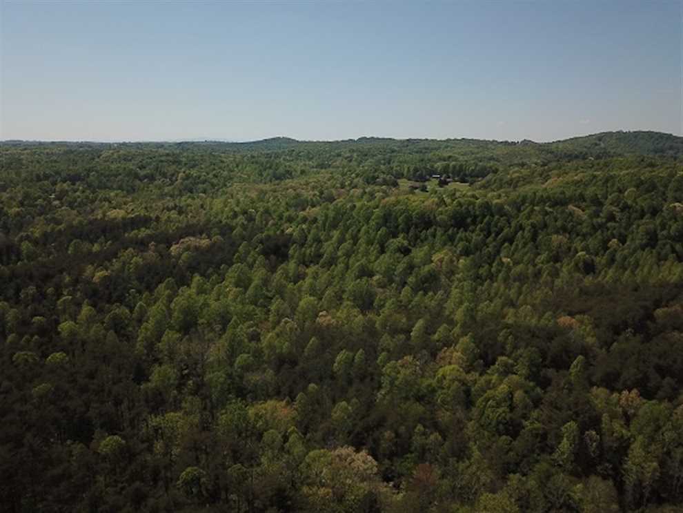 Timberland real estate available to buy