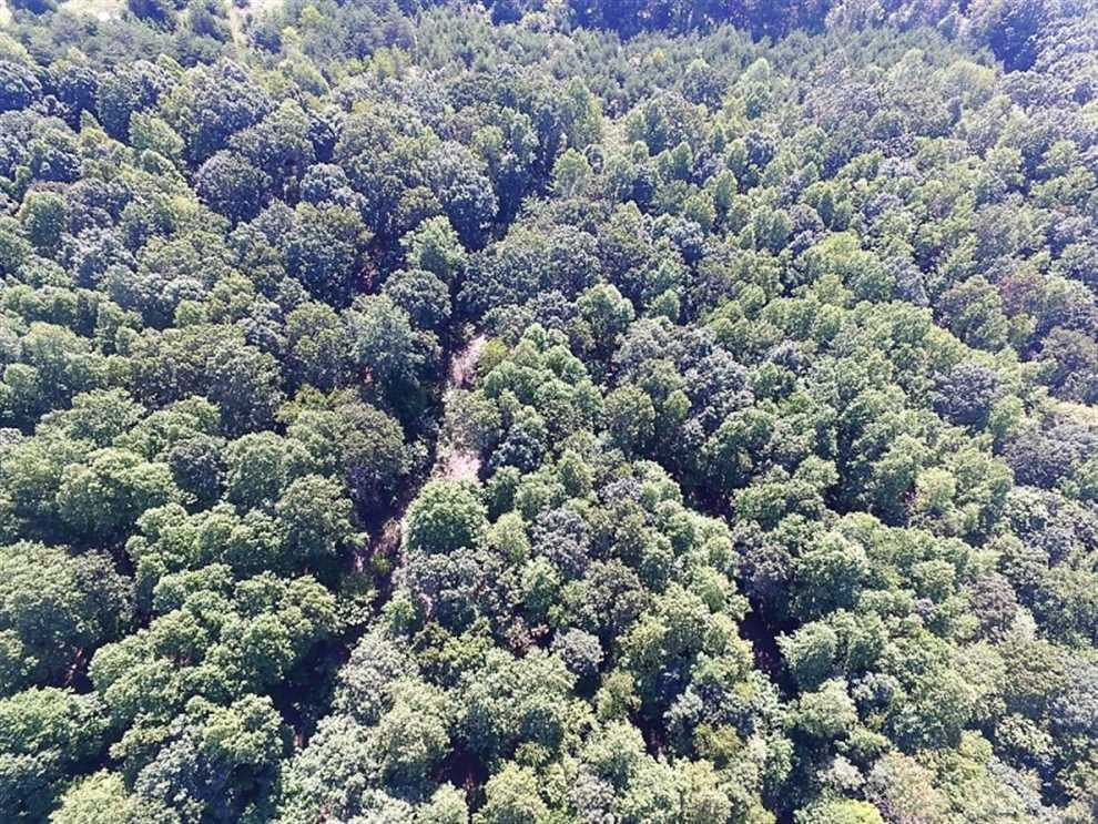 Houses and land for sale in Virginia
