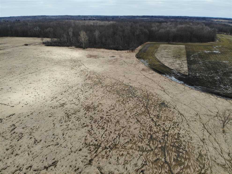 66 Acres Hunting Land with Tillable for sale M43 Hwy Bangor, MI. Real estate listing