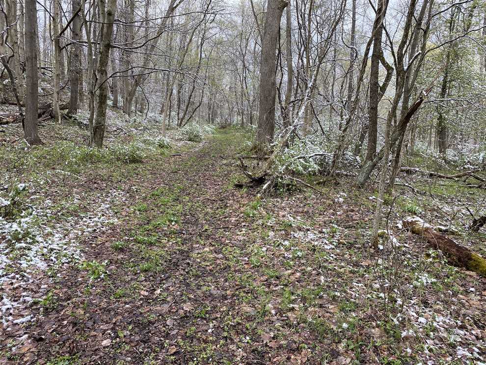 N. Branch Rd. 34 Acres McDonald Real estate listing