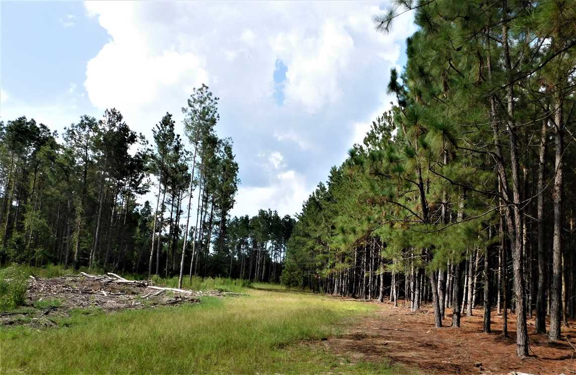 property for sale on The Land Market