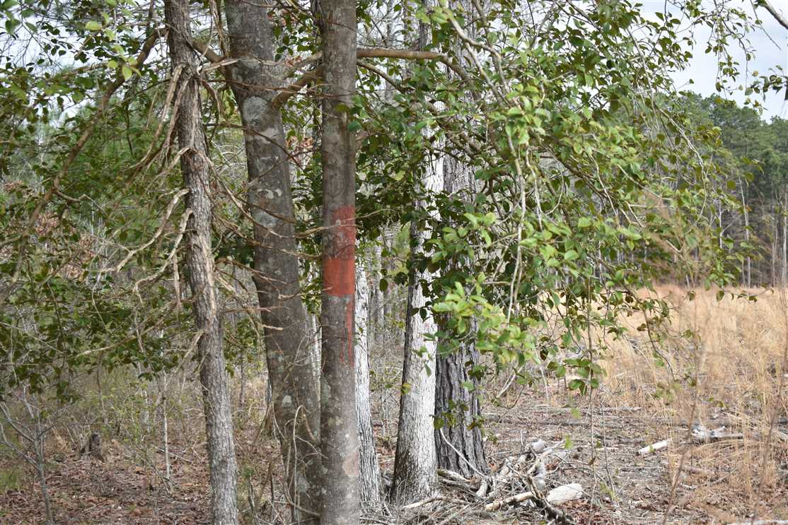 Land for sale at Nevada County Road 157