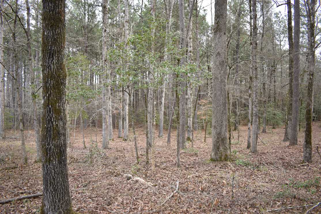 Black Creek Real estate listing