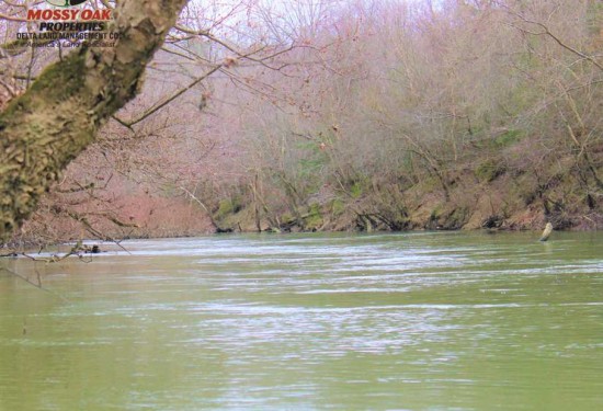 1104 Acres of Land for Sale in saline County Arkansas
