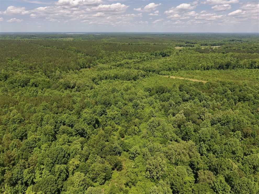 Recreational and   property for sale on The Land Market