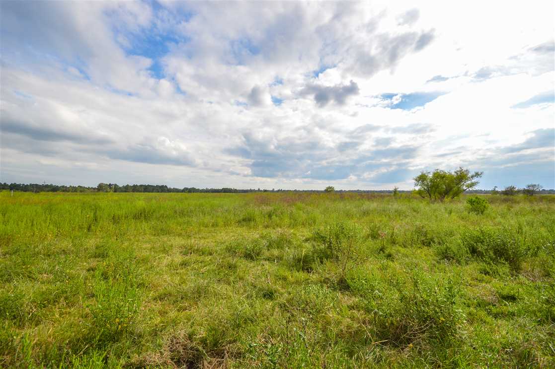 461.97 Acres of Land for sale in jefferson County, Texas