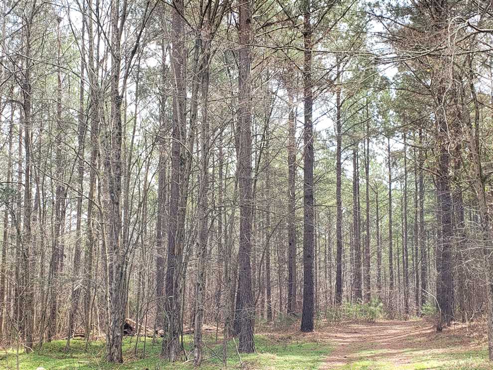 property for sale on The Land Market