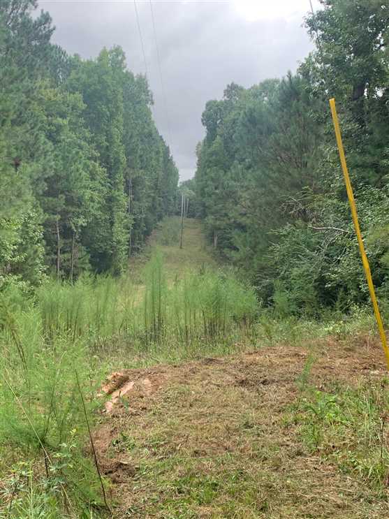 31 Acres of Residential land for sale in Tremont, itawamba County, Mississippi