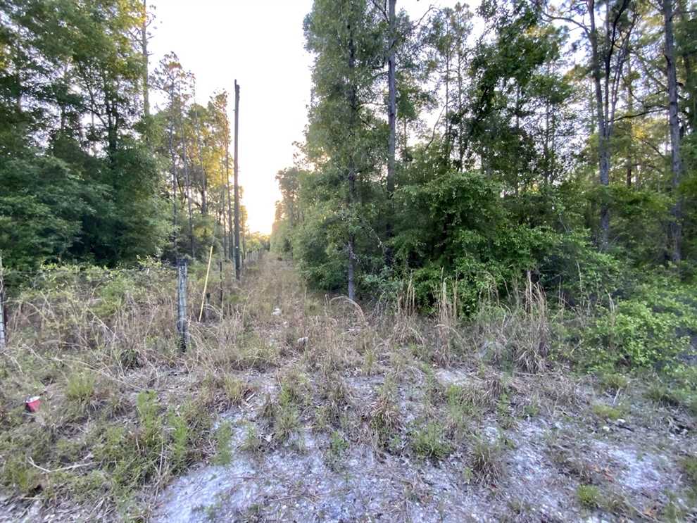 4.54 Acres of Residential land for sale in Fanning springs, dixie County, Florida