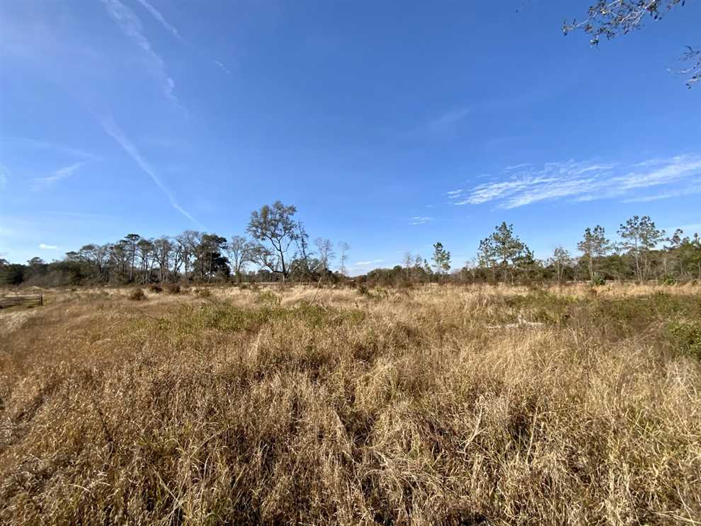 90 Acres of Residential land for sale in Greenville, madison County, Florida