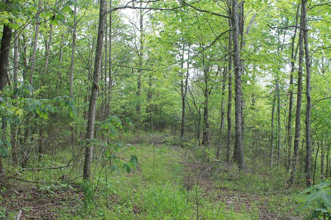 12 +/- acres Jackson County, Tennessee Real estate listing