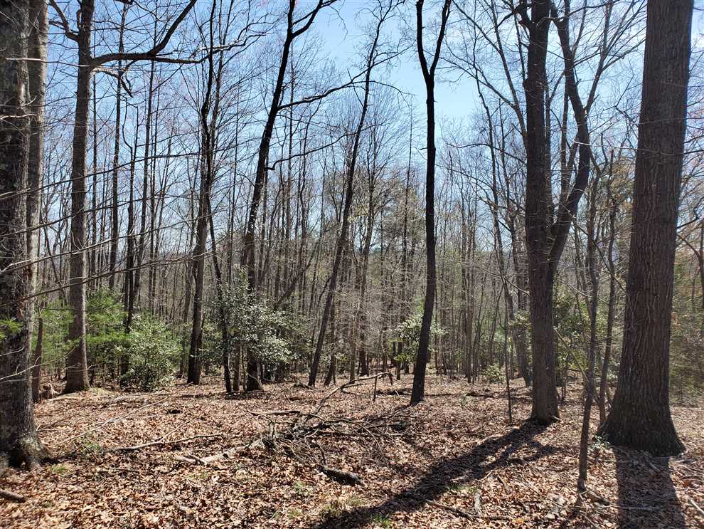 Property for sale at 15.3 acres High Rock Road