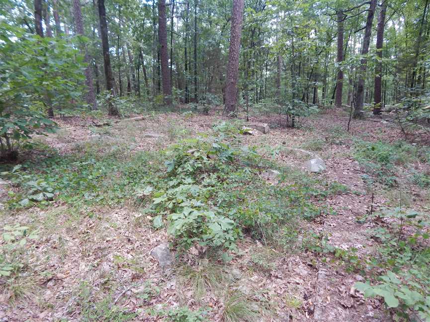 Beautiful 4.53 Acres Near Greers Ferry Lake Real estate listing