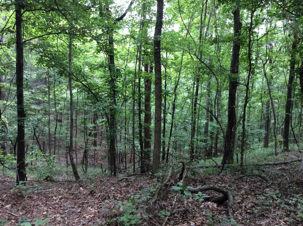 property for sale on The Land Market
