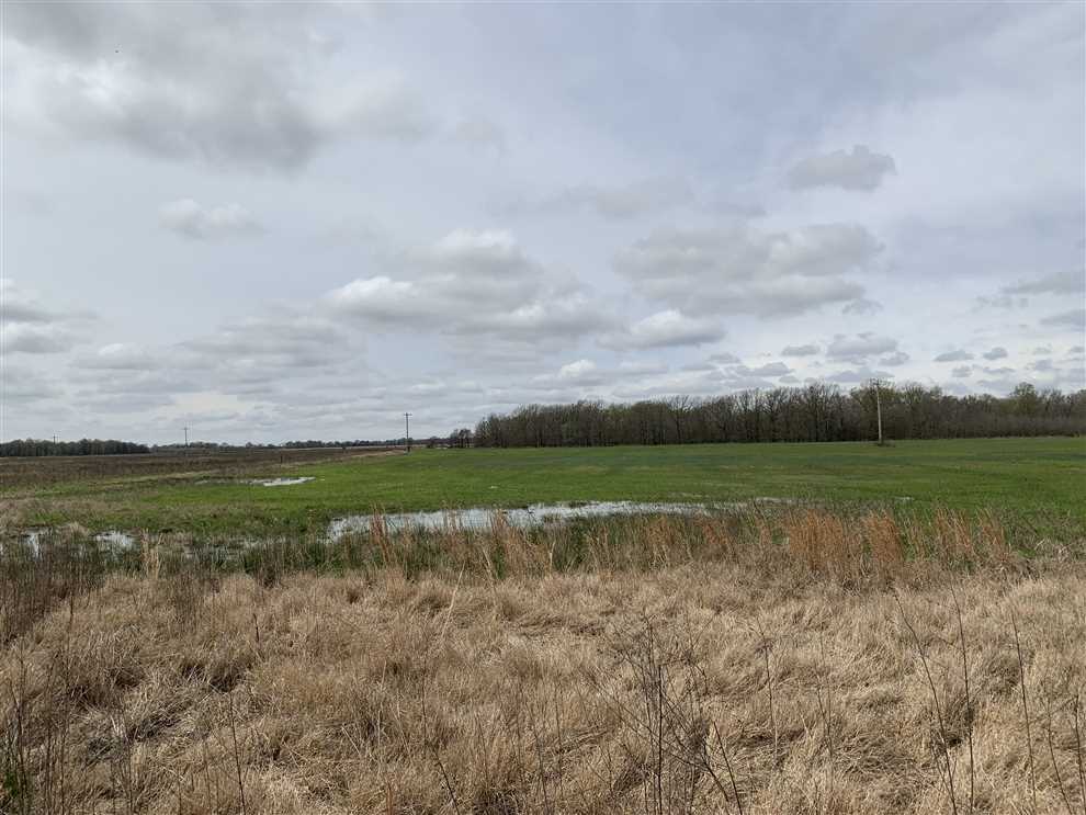 Recreational and   property for sale on The Land Market
