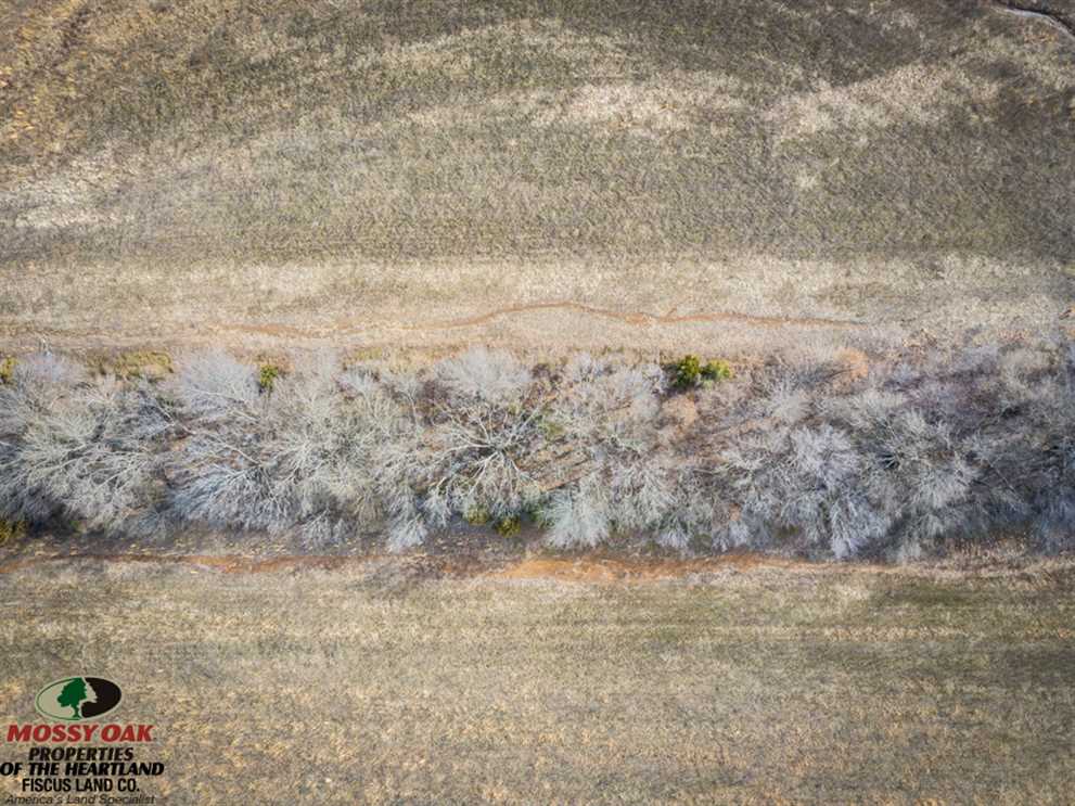 66 Acres Of Tillable Ground For Sale In Labette County, KS Real estate listing