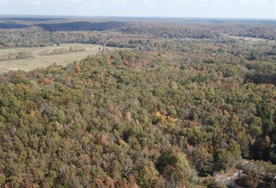 36 Acres of Land for Sale in butler County Missouri