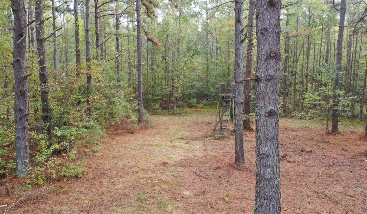 Houses and land for sale in North Carolina
