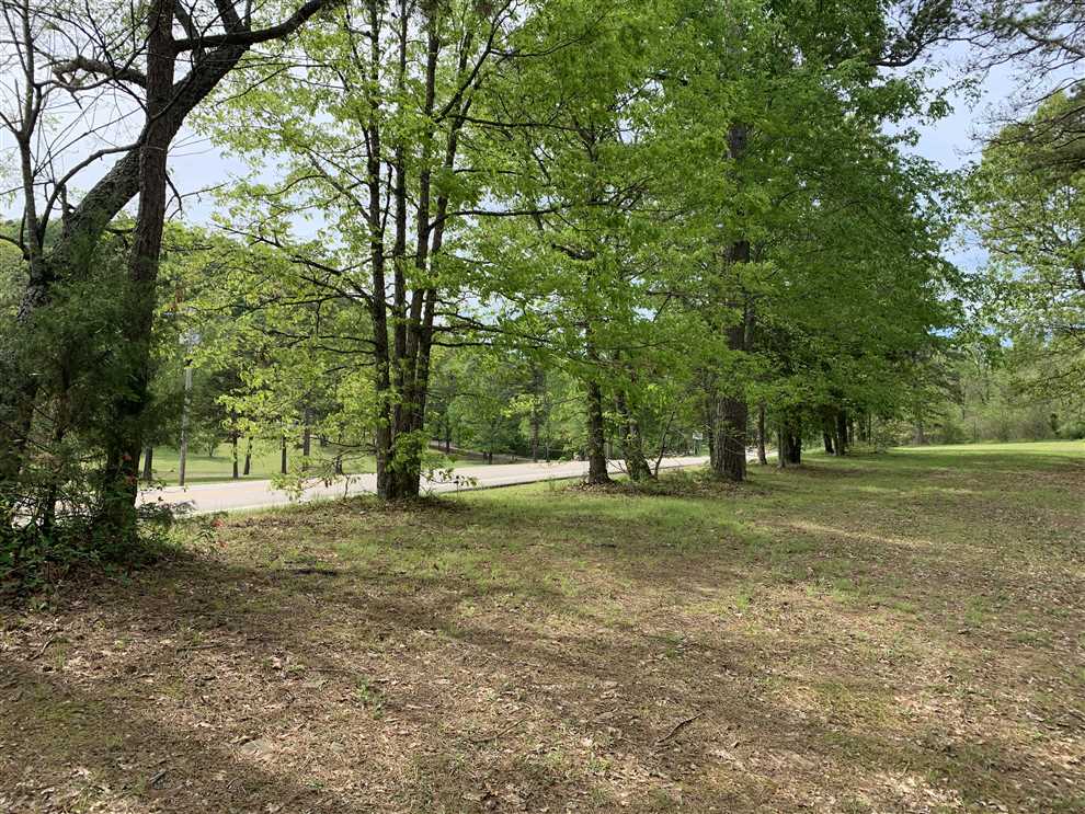 Scenic Highway 7 Gateway of the Ozark Mountains Real estate listing
