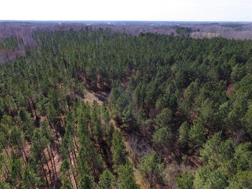 Recreational and   property for sale on The Land Market