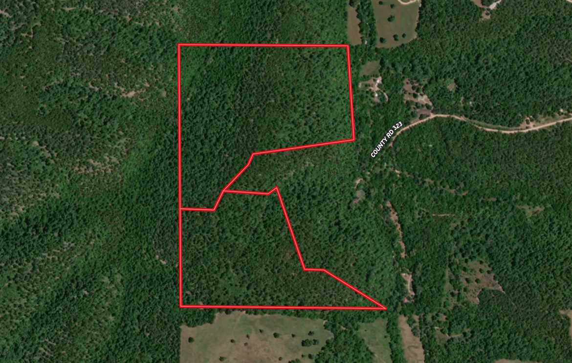 Eureka Springs 78 +/- acres near Kings River Real estate listing