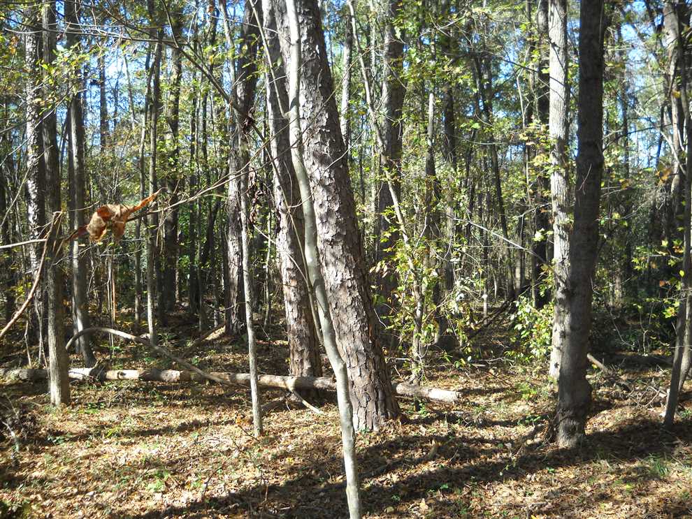 1.57 Acres of Residential land for sale in Albemarle, stanly County, North Carolina
