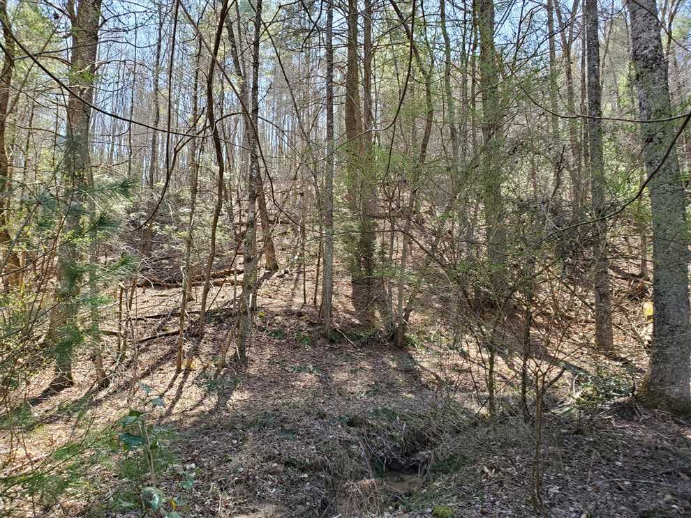 Property for sale at near 5593 Parkview Road