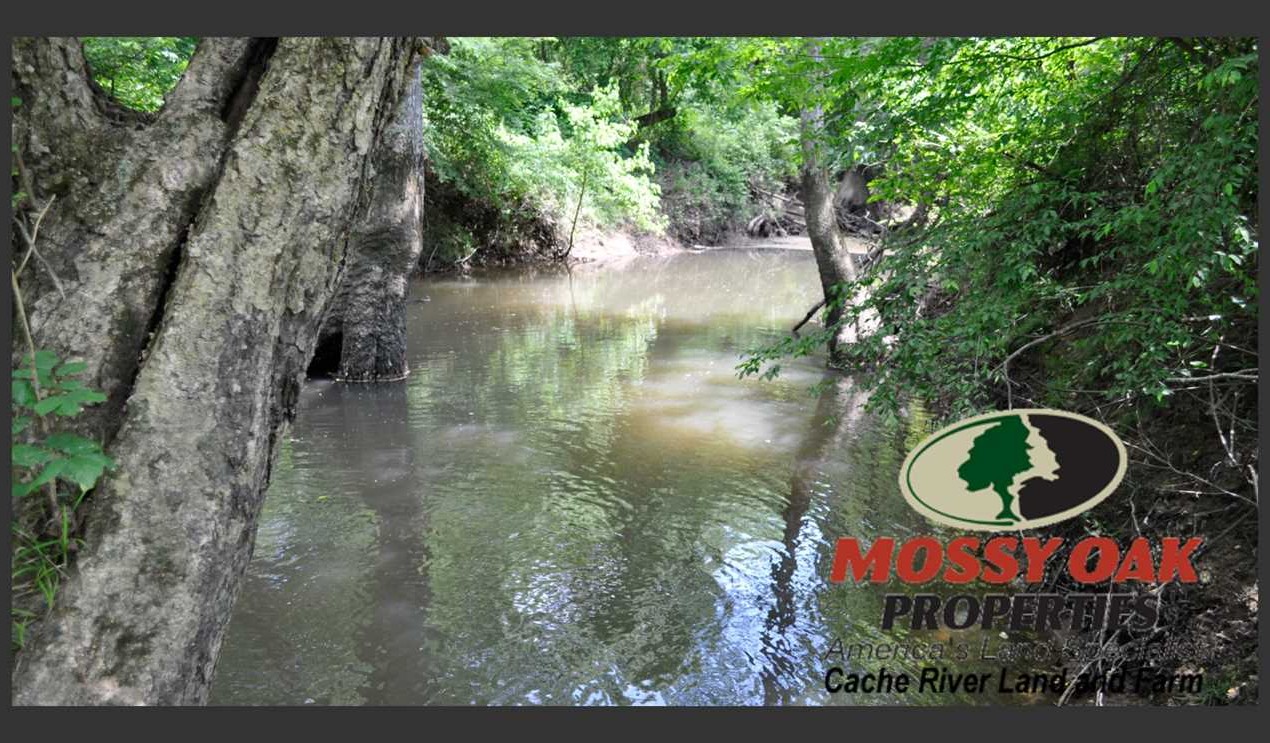 Recreational land real estate to buy in white County AR