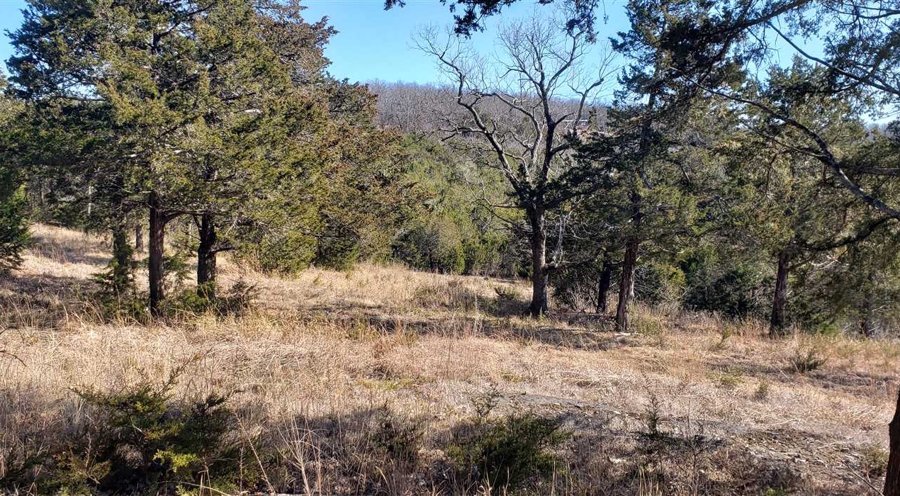 Land for sale to buy in 72668 zip code