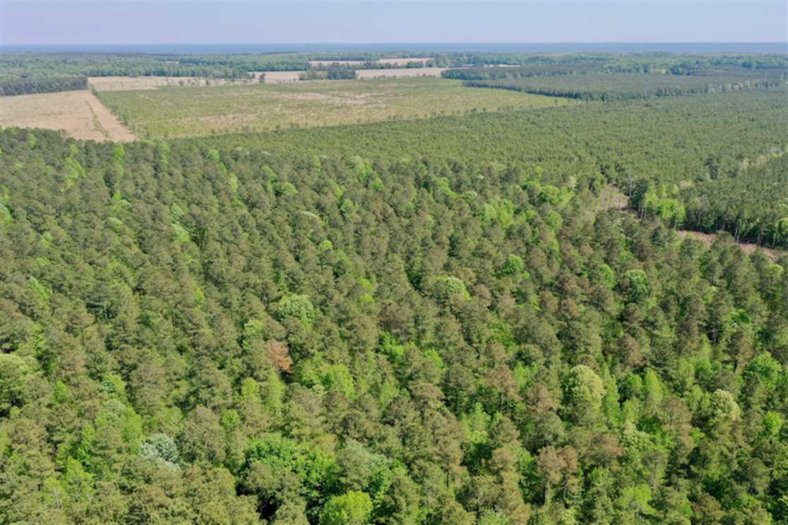 22 ac Residential Land for Sale in Chowan County NC! Real estate listing