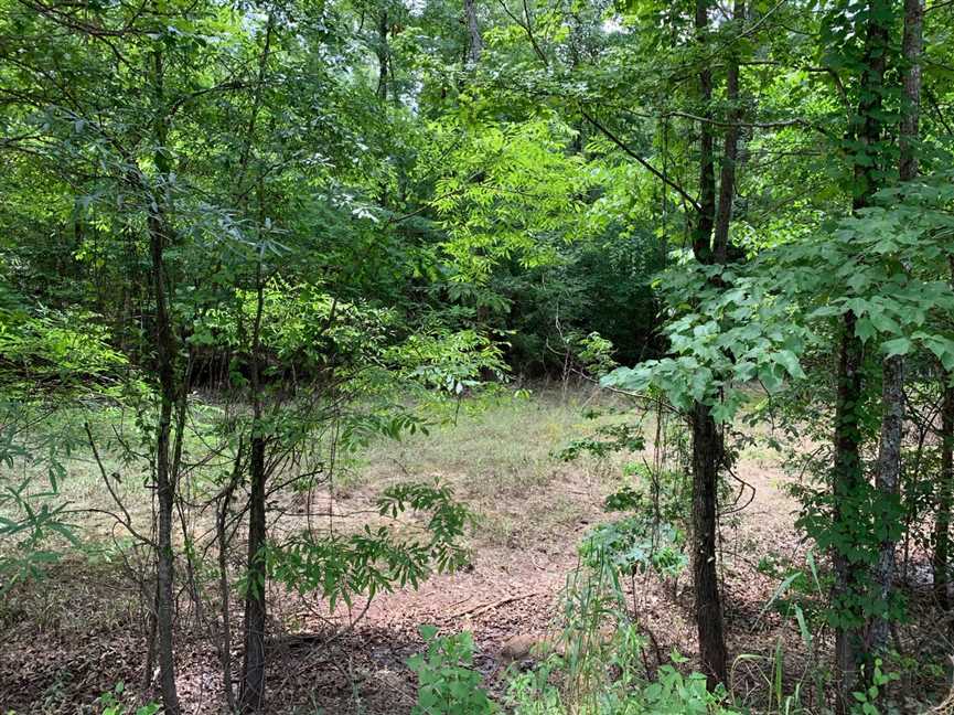 154.82 Acres of Recreational land for sale in Quitman, jackson County, Louisiana