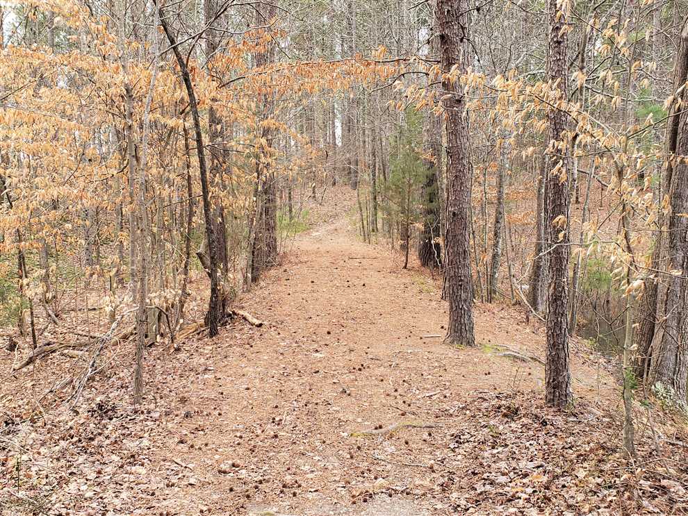 55.6 Acres of Land for sale in york County, South Carolina