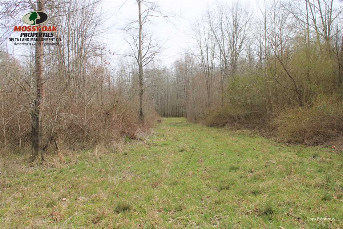 property for sale on The Land Market
