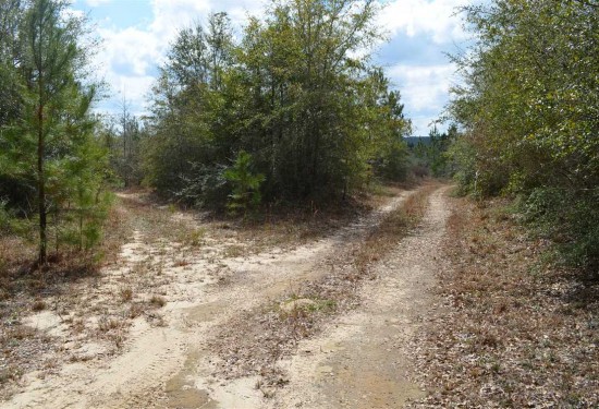 353 Acres of Land for Sale in escambia County Alabama