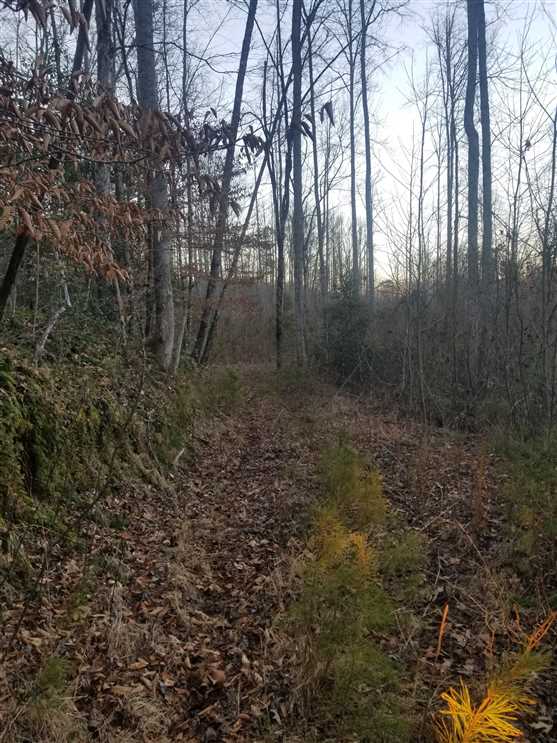 property for sale on The Land Market